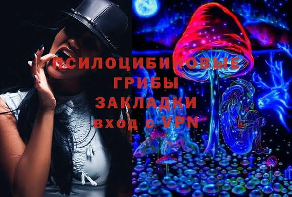 МДПВ Абаза