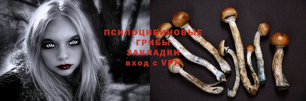 мяу мяу мука Алексеевка
